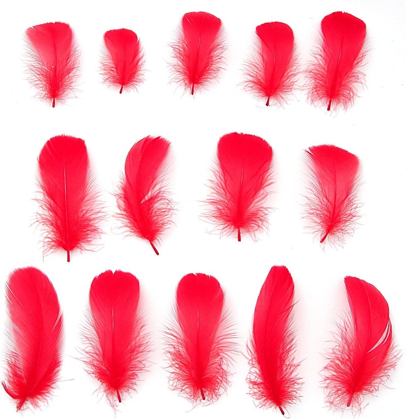 Lamar Feather 300pcs Red Feathers 2-3 Inches Bulk Feathers for Crafting, Dream Catcher Accessories, Art Projects, DIY Crafting, Handi Crafts, Party Decoration (Red) - Image 2